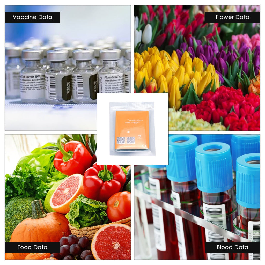 DLG-477 CE Approved IP67 Waterproof 4000 Sets Data NFC Temperature Datalogger Wireless Data Logger Temperature Recorder