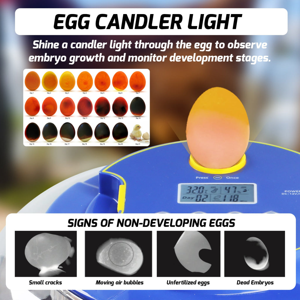 INC-501 Egg Incubator with Automatic Egg Turning Temperature Control Candler Humidity Display 8~18 Eggs Chicken Embryo