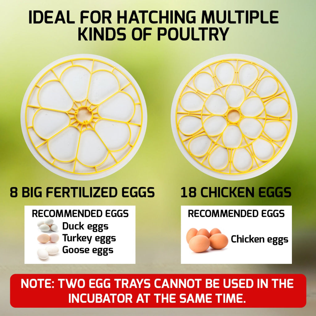 INC-501 Egg Incubator with Automatic Egg Turning Temperature Control Candler Humidity Display 8~18 Eggs Chicken Embryo