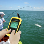 Ff-1108-1 Wired 100M Digital Sonar Transducer Fishfinder Alarm Portable Lcd Display 12M Cable For